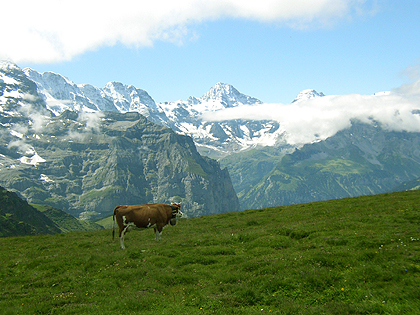 Hiking in the Alps