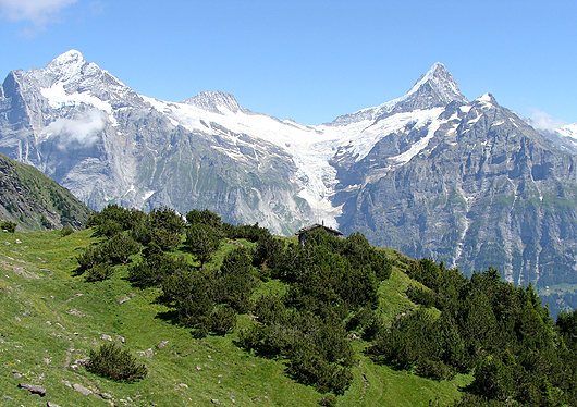 Another mountain vista in Grindelwald