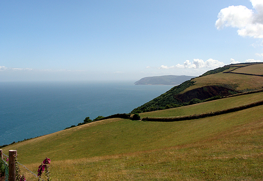 The Devon coast