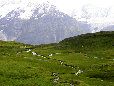 Awesome alpine panorama from First, Grindelwald