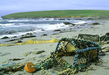 Lovely seascape in the Orkneys