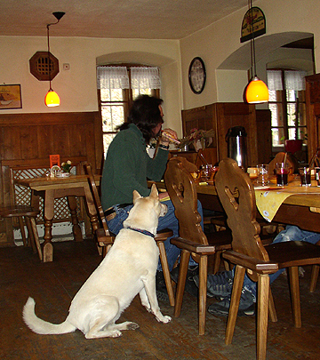 Devin enjoys his breakfast with two dogs looking on at The Village, Habach D